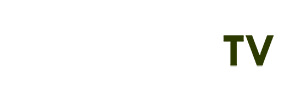 giá vàng sjc hôm nay